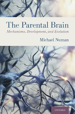 The Parental Brain: Mechanisms, Development, and Evolution - Michael Numan - cover