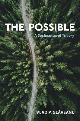 The Possible: A Sociocultural Theory - Vlad P. Glăveanu - cover