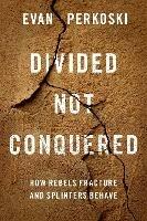 Divided Not Conquered: How Rebels Fracture and Splinters Behave - Evan Perkoski - cover