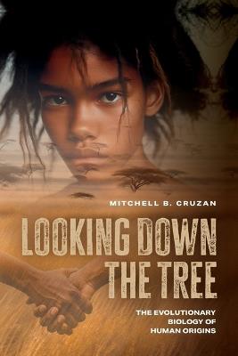 Looking Down the Tree: The Evolutionary Biology of Human Origins - Mitchell B. Cruzan - cover
