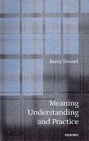 Meaning, Understanding, and Practice: Philosophical Essays - Barry Stroud - cover