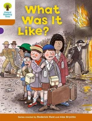 Oxford Reading Tree: Level 8: More Stories: What Was It Like? - Roderick Hunt - cover