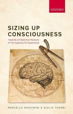 Sizing up Consciousness: Towards an objective measure of the capacity for experience - Marcello Massimini,Giulio Tononi - cover