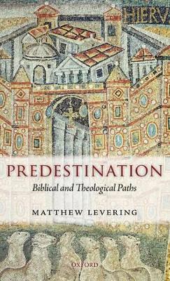 Predestination: Biblical and Theological Paths - Matthew Levering - cover
