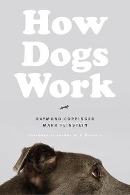 How Dogs Work - Raymond Coppinger,Mark Feinstein - cover