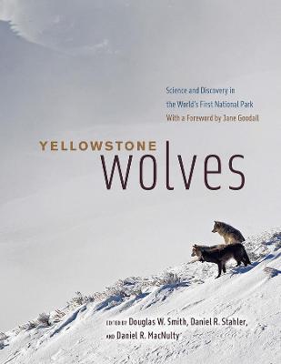 Yellowstone Wolves: Science and Discovery in the World's First National Park - cover