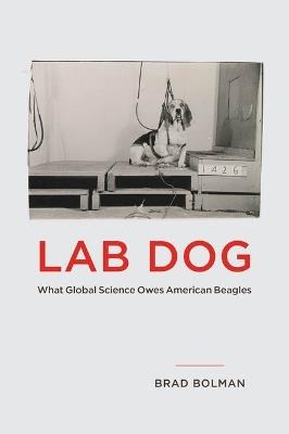 Lab Dog: What Global Science Owes American Beagles - Brad Bolman - cover