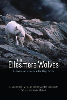 The Ellesmere Wolves: Behavior and Ecology in the High Arctic - L. David Mech,Morgan Anderson,H. Dean Cluff - cover