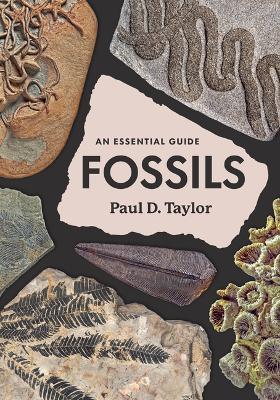 Fossils: An Essential Guide - Paul D Taylor - cover
