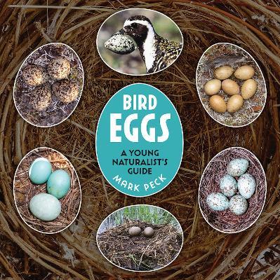 Bird Eggs: A Young Naturalist's Guide - Mark Peck - cover