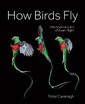 How Birds Fly: The Science and Art of Avian Flight - Peter Cavanagh - cover