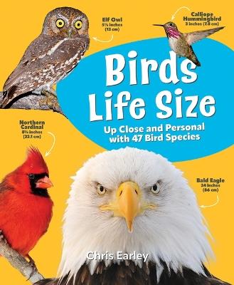 Birds Life Size: Up Close and Personal with 47 Bird Species - Chris Earley - cover