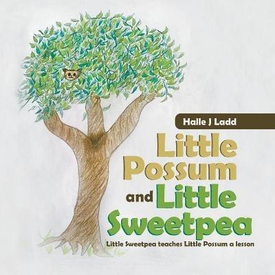 Little Possum and Little Sweetpea: Little Sweetpea Teaches Little Possum a Lesson - Halle J Ladd - cover