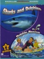 Macmillan Children's Readers Sharks & Dolphins International Level 6 - Donna Shaw - cover