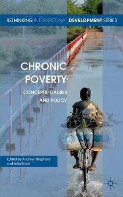 Chronic Poverty: Concepts, Causes and Policy - cover