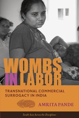 Wombs in Labor: Transnational Commercial Surrogacy in India - Amrita Pande - cover