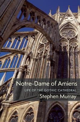 Notre-Dame of Amiens: Life of the Gothic Cathedral - Stephen Murray - cover