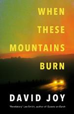When These Mountains Burn: The literary crime thriller from the prizewinning master of American noir fiction