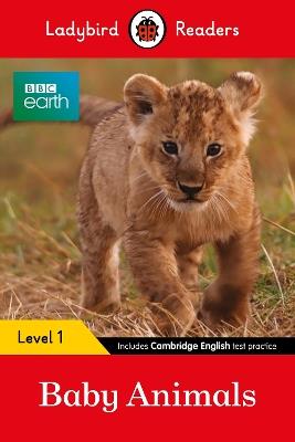 Ladybird Readers Level 1 - BBC Earth - Baby Animals (ELT Graded Reader) - Ladybird - cover