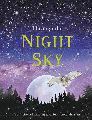 Through the Night Sky: A collection of amazing adventures under the stars - DK - cover