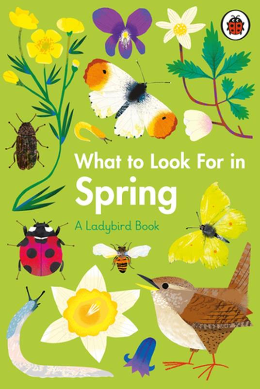 What to Look For in Spring - Elizabeth Jenner,Natasha Durley - ebook