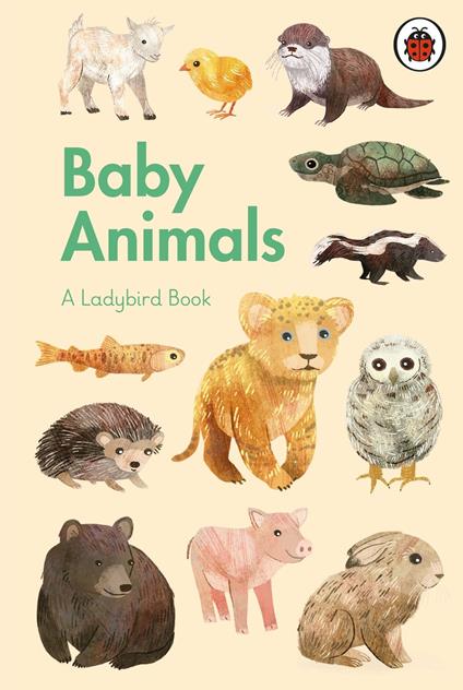 A Ladybird Book: Baby Animals - Stephanie Fizer Coleman - ebook