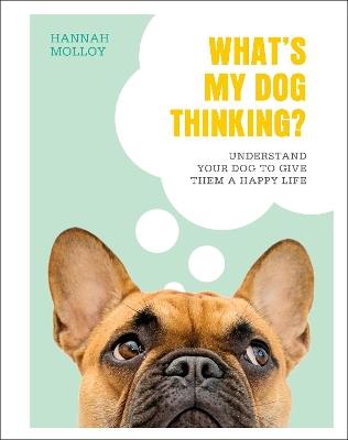 What's My Dog Thinking?: Understand Your Dog to Give Them a Happy Life - Hannah Molloy - cover