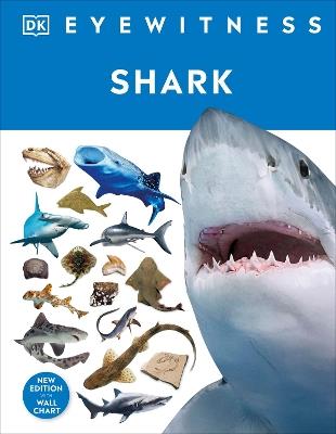 Shark - DK - cover