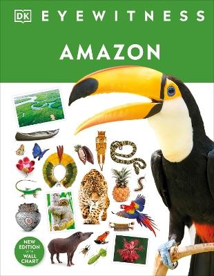 Amazon - DK - cover