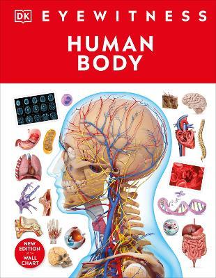 Human Body - DK - cover