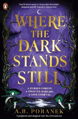 Where the Dark Stands Still - A.B. Poranek - cover