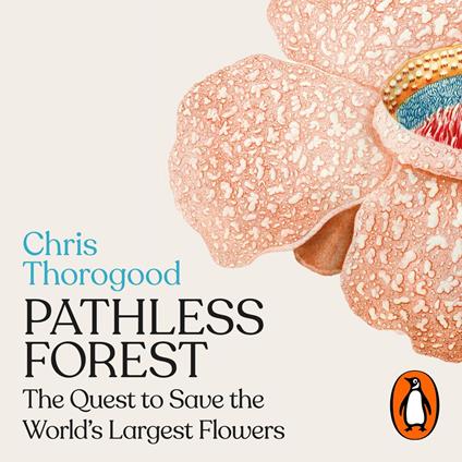 Pathless Forest