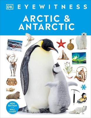 Arctic and Antarctic - DK - cover