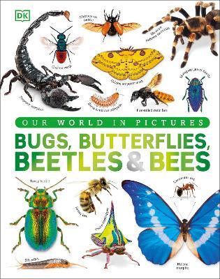 Our World in Pictures Bugs, Butterflies, Beetles and Bees - DK - cover