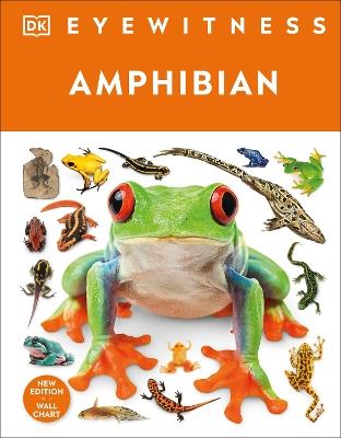 Eyewitness Amphibian - DK - cover