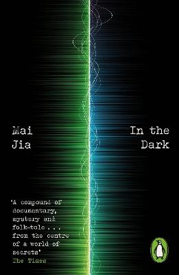 In the Dark - Mai Jia - cover