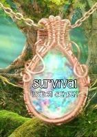 Survival - Isabel Scheck - cover