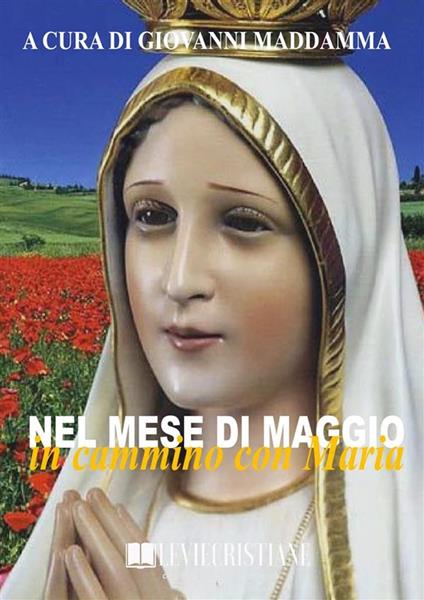 Nel mese di maggio in cammino con Maria - Giovanni Maddamma (Curatore) - ebook