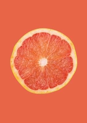 Food Sonnets - Mark Staniforth - cover