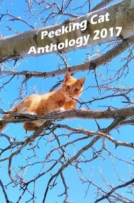 Peeking Cat Anthology 2017 - Sam Rose - cover