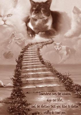 Dreams Really Do Come Poo - Bicky Hayden - cover