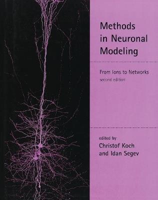 Methods in Neuronal Modeling: From Ions to Networks - cover