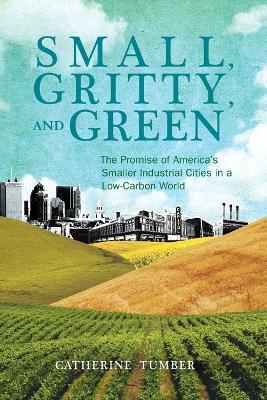 Small, Gritty, and Green: The Promise of America's Smaller Industrial Cities in a Low-Carbon World - Catherine Tumber - cover