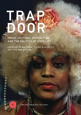 Trap Door: Trans Cultural Production and the Politics of Visibility  - Reina Gossett,Eric A. Stanley - cover