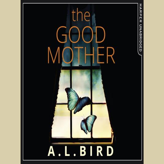 The Good Mother: A tense psychological thriller with a shocking twist