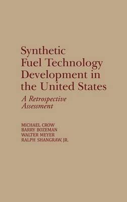 Synthetic Fuel Technology Development in the United States: A Retrospective Assessment - Barry Bozeman,Michael Crow,Walter Meyer - cover