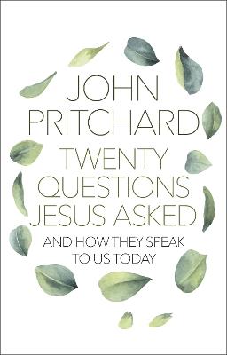 Twenty Questions Jesus Asked: And How They Speak To Us Today - John Pritchard - cover