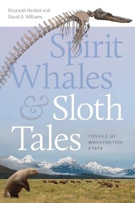 Spirit Whales and Sloth Tales: Fossils of Washington State - Elizabeth A. Nesbitt,David B. Williams - cover