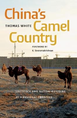 China's Camel Country: Livestock and Nation-Building at a Pastoral Frontier - Thomas White - cover