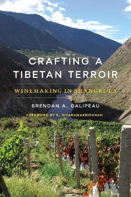 Crafting a Tibetan Terroir: Winemaking in Shangri-La - Brendan A. Galipeau - cover